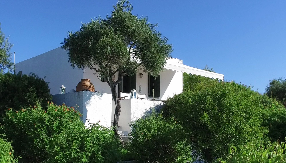 Mani Beachfront Bungalow