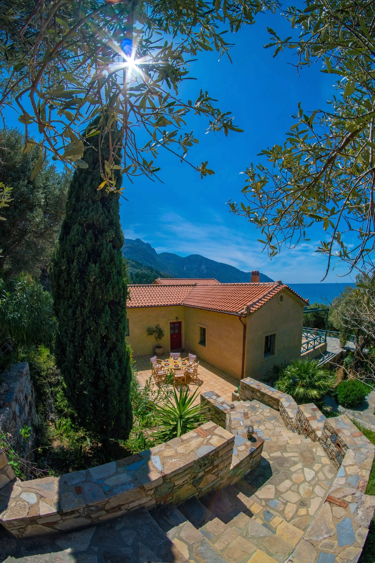 Samos Estate & Villas